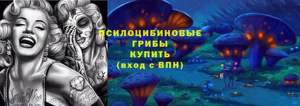 сатива Абинск
