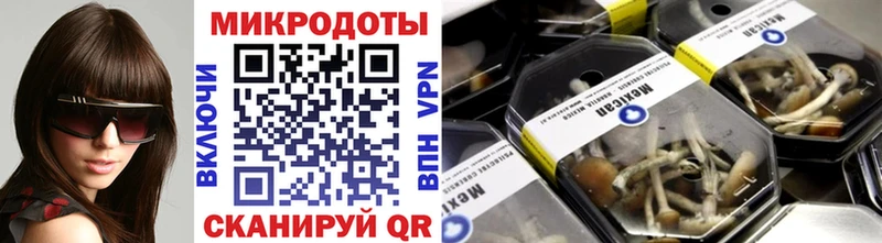 Галлюциногенные грибы мухоморы Полтавская